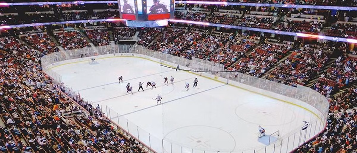Los Angeles Kings vs. Anaheim Ducks