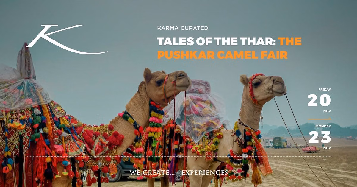 TALES OF THE THAR: THE PUSHKAR CAMEL FAIR