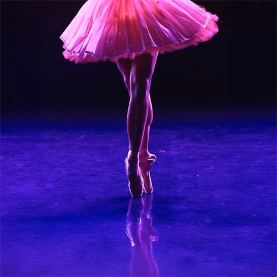Ballet of Lights: A Bela Adormecida em um espetáculo cintilante