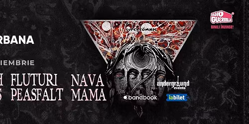 Pinholes, Fluturi pe Asfalt \u0219i Nava Mam\u0103 \u2022 Ia\u0219i \u2022 21 noiembrie