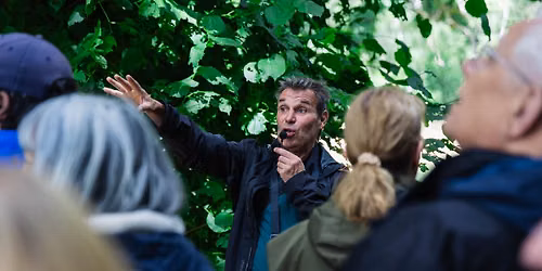 The Ancient Trees of Windsor - heritage tree walk & talk with Julian Hight