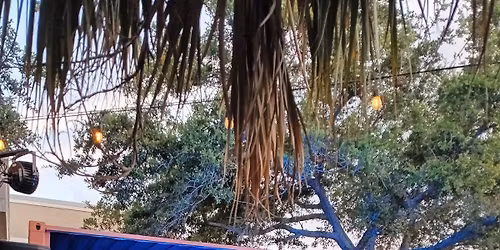 Red Ruckus Live at Sponge City Brewing