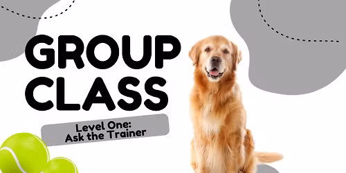 Level One: Ask the Trainer 12\/30