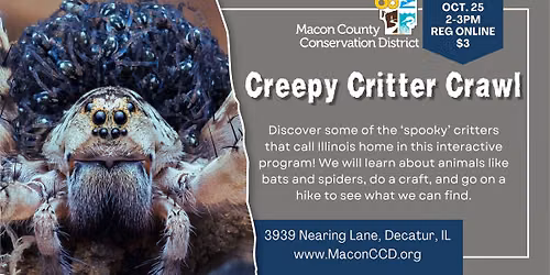 Creepy Critter Crawl