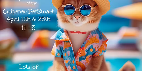 Forgotten Felines of Culpeper Spring Fling Adoption Event