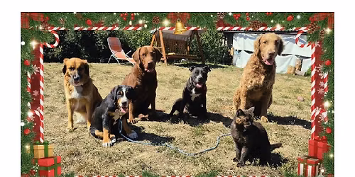 V\u00e1no\u010dn\u00ed proch\u00e1zka v Praze