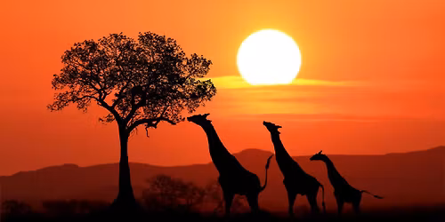 South Africa - 8 days