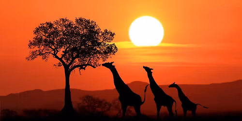 South Africa - 8 days