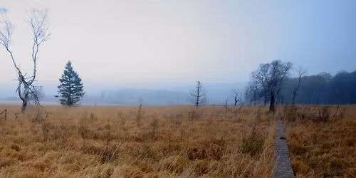 Au Confin de la Steppe Belge