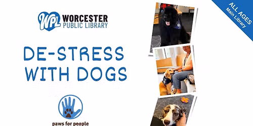 De-stress with Dogs