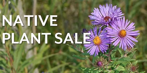 3rd Annual Seafoam Native Plant Sale
