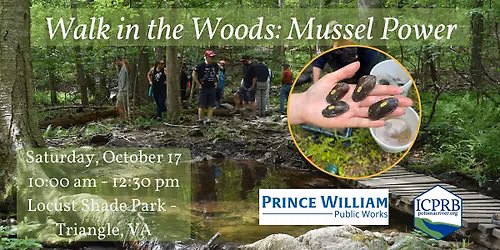 Walk in the Woods: Mussel Power (VA)