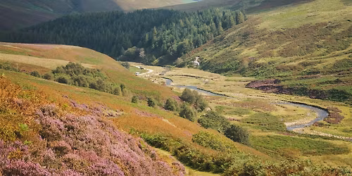 Family-friendly walk - VOLT GYM x Alpine Bears @ The Trough of Bowland