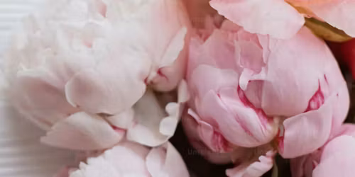 Mothers Day Open Day