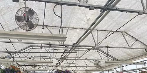 Spring Plant Sale and Showcase