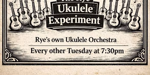 The Rye Ukulele Experiment