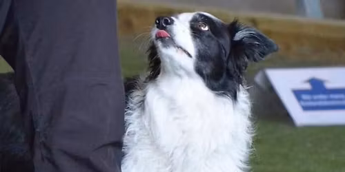 Dobbeltstevne Rallylydighet 1. - 2. mai 2026