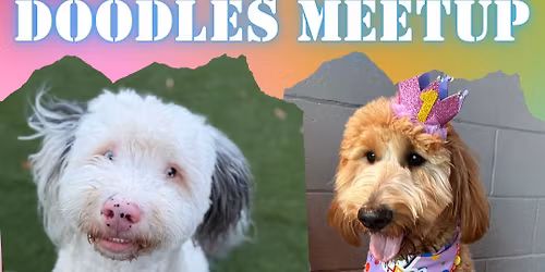 Poodles & Doodles Meetup