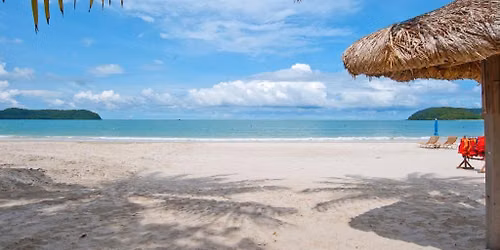 CordyKet Healing Retreat 2026 at Langkawi, Malaysia