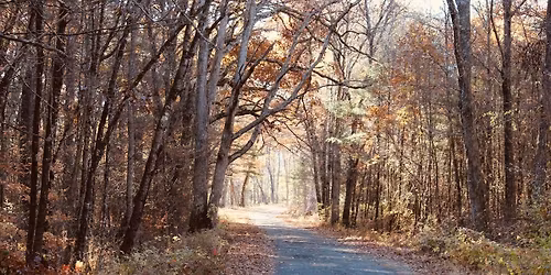 How to cool the planet, feed the world, and live happily ever after