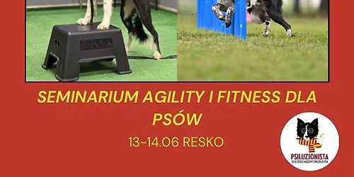 Seminarium weekendowe- DogFitness i Agility w RESKU