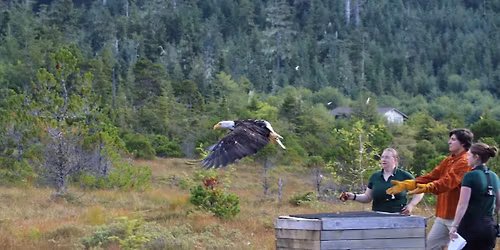 Broken Wings at Brown Theatre at Wortham Center