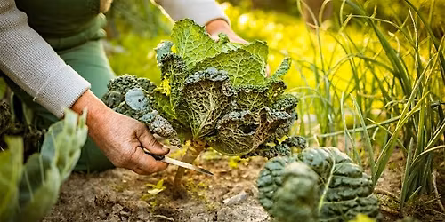 Introduction to Permaculture