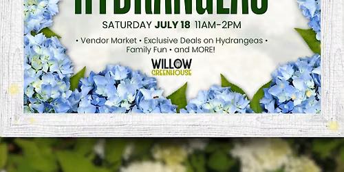 Hyped for Hydrangeas Market