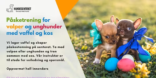 P\u00e5sketrening for valper og unghunder med vaffelkos (ledige plasser)