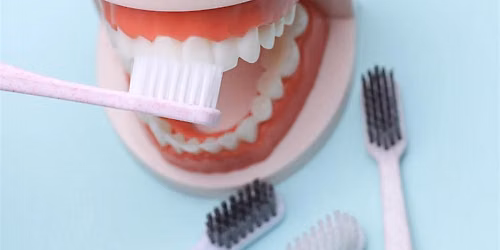 Oral Health and Longevity IN-PERSON AT DOROT