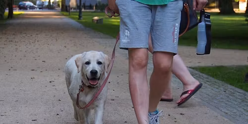 \u015aWINOUJ\u015aCIE: Spacer r\u00f3wnoleg\u0142y\/socjalizacyjny dla ps\u00f3w z el. szkolenia