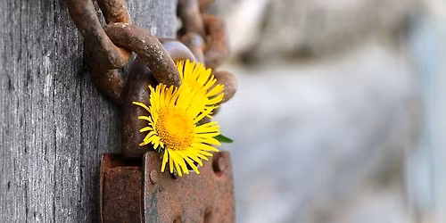 Layers of Safety: Coming Home to Yourself