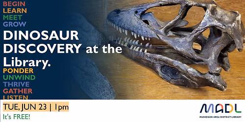 Dinosaur Discovery