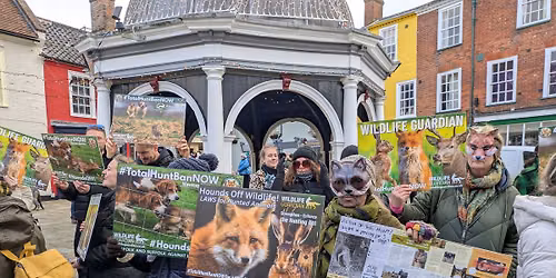 2026 Boxing Day Protest The Waveney & Norfolk Harriers Hunt Parade