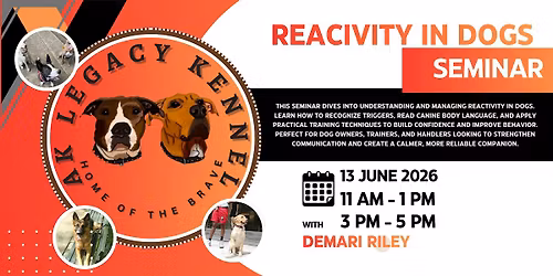 Reactivity in Dogs Seminar