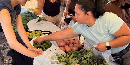 Crop Swap at La Madera Community Garden