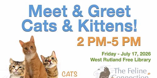 Chocolate With Cats at West Rutland Library