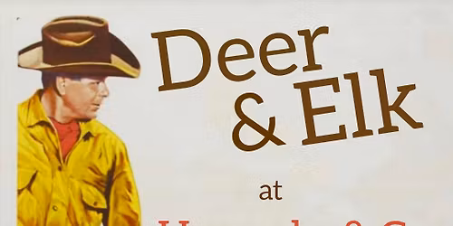 Deer & Elk at Horrocks & Co.