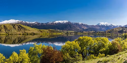 Cardiac ECG Interpretation & Telemetry