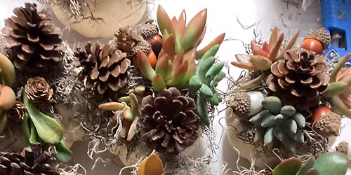 DIY Succulent Pumpkin Arrangment - Drop In Day 