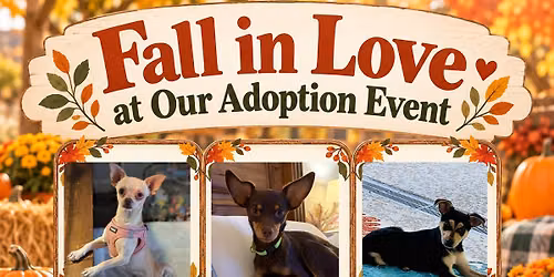 Oct Adoption Event - Cypress