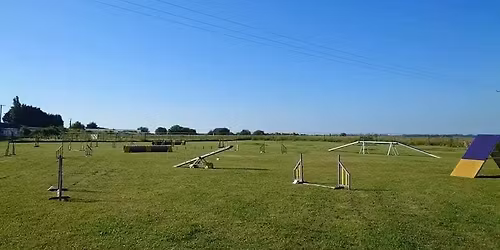 Beginners Agility Group - Westonzoyland 