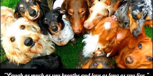 November 2025 Meet-Up