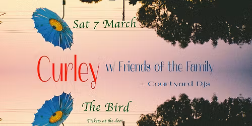 \u2b50\ufe0f Curley \/ Friends of the Family \/ DJs \/ Live @ The Bird \u2b50\ufe0f