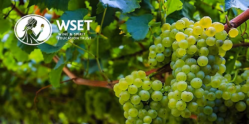 WSET L2 Award in Wines Stanlake Park Winery