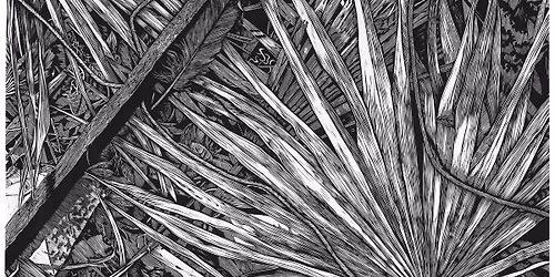 Exhibition Opening | Donald Martin: Connections