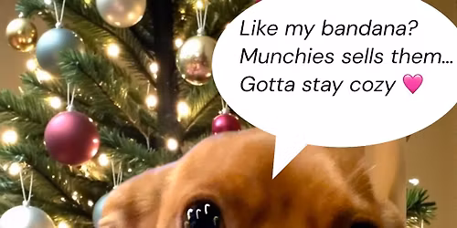 Christmas Bazar Oshkosh Farmers Market