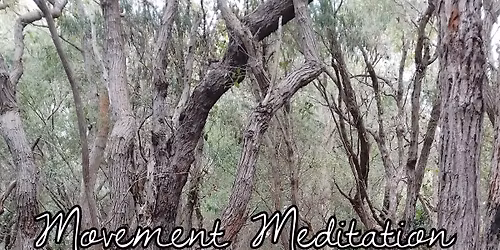 Movement Meditation a journey of self discovery 