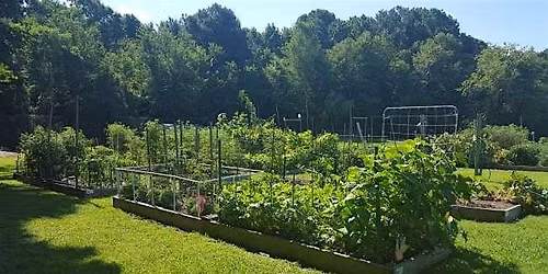 Free Farmers Market