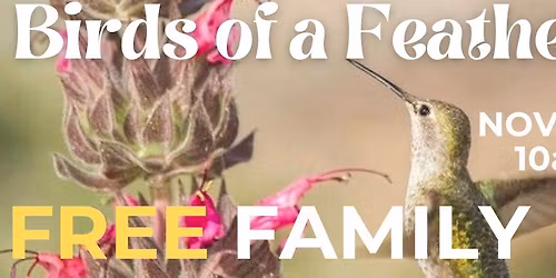 Free Family Day: Birds of a Feather